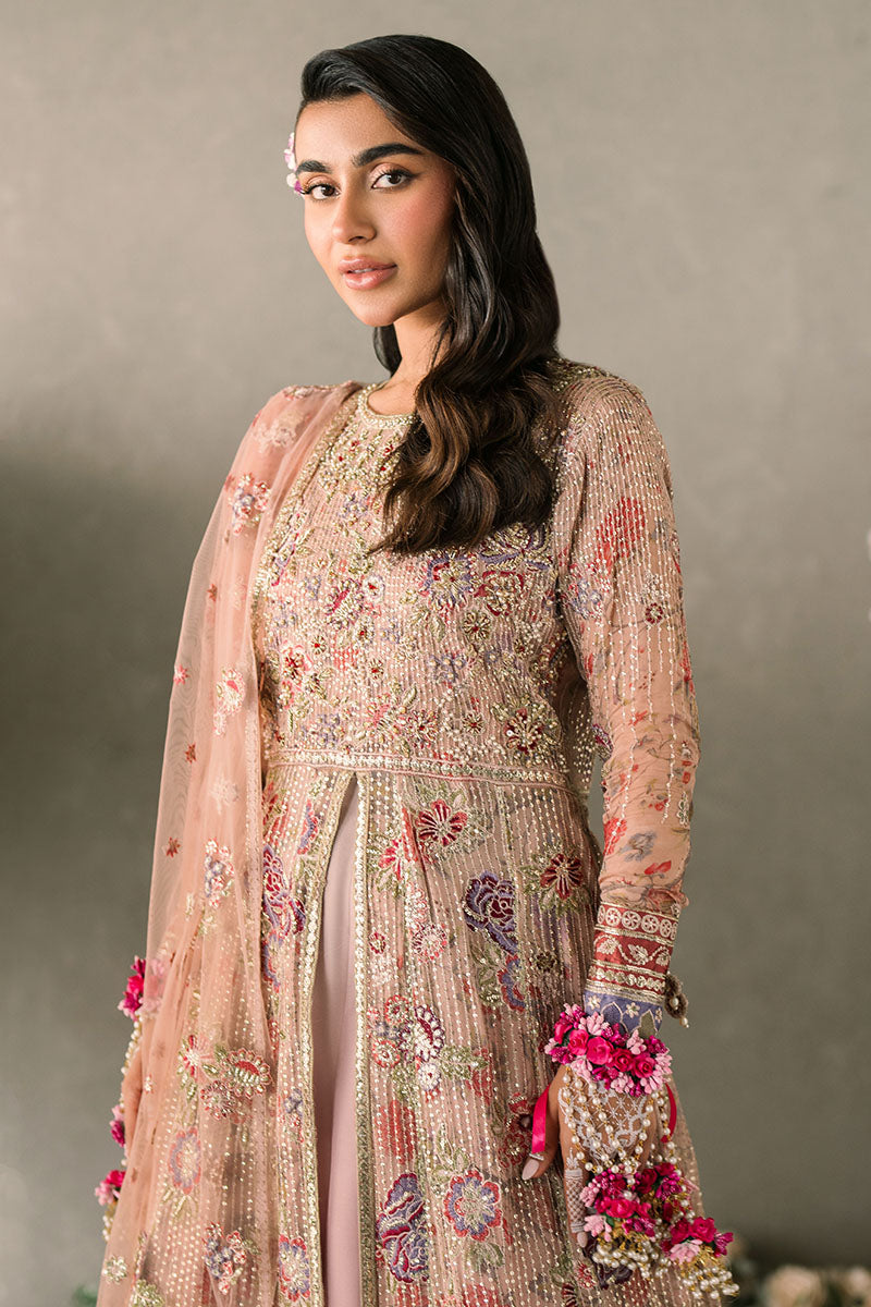 Mushq | Mastani Evening Luxury Chiffon | Sona - House Of Anaya