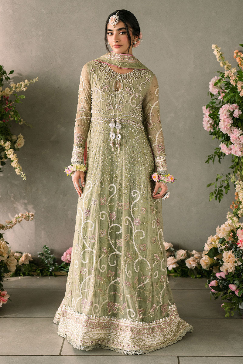 Mushq | Mastani Evening Luxury Chiffon | Namar - House Of Anaya