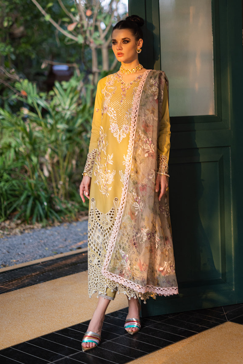 Mushq | Orient Express Luxury Lawn | DELICE - House Of Anaya