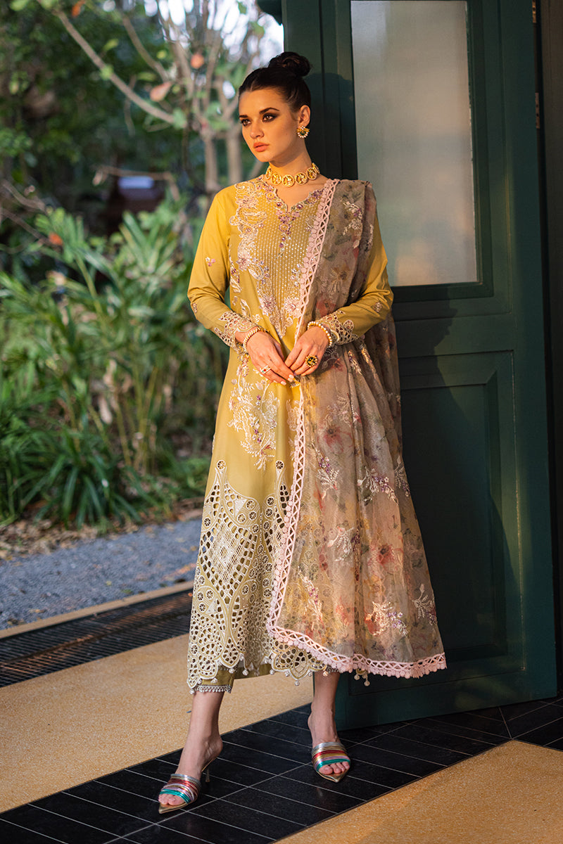 Mushq | Orient Express Luxury Lawn | DELICE - House Of Anaya