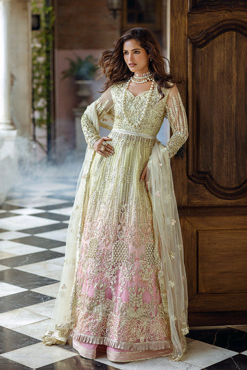 Cosmic Couture| Mushq'24