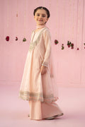 Maria B | 3 Piece Embroidered Organza Suit | MKS-EF24-19 - Libasekhas