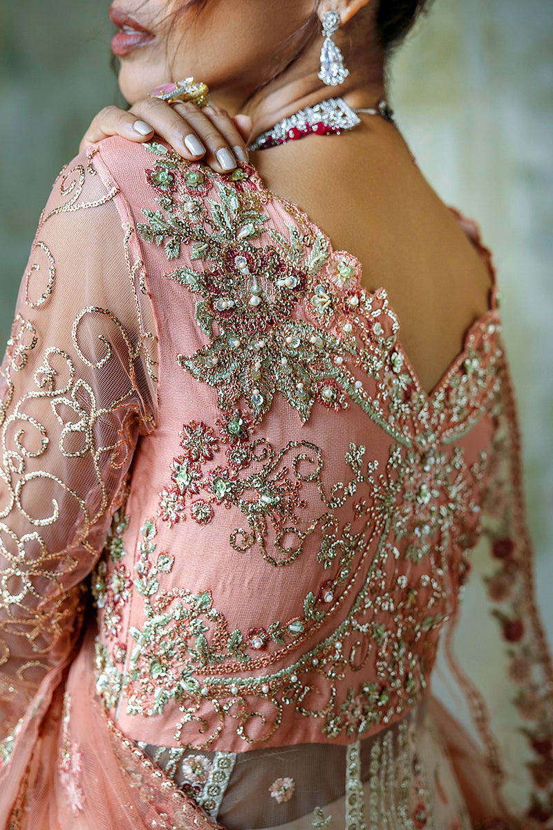 Mushq | Stardust Wedding Collection 24 |   Galaxy Gown - House Of Anaya