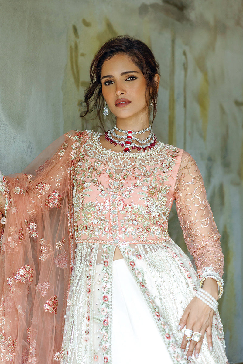 Mushq | Stardust Wedding Collection 24 |   Galaxy Gown - House Of Anaya