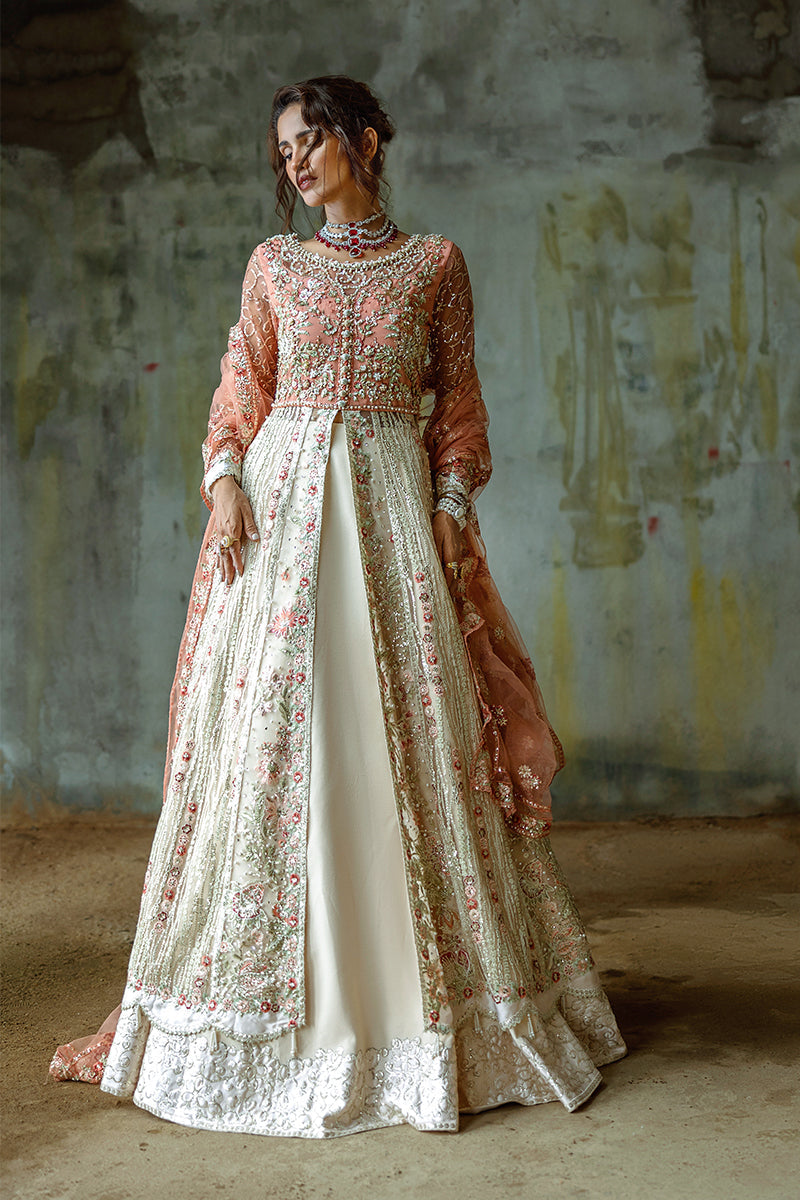 Mushq | Stardust Wedding Collection 24 |   Galaxy Gown - House Of Anaya