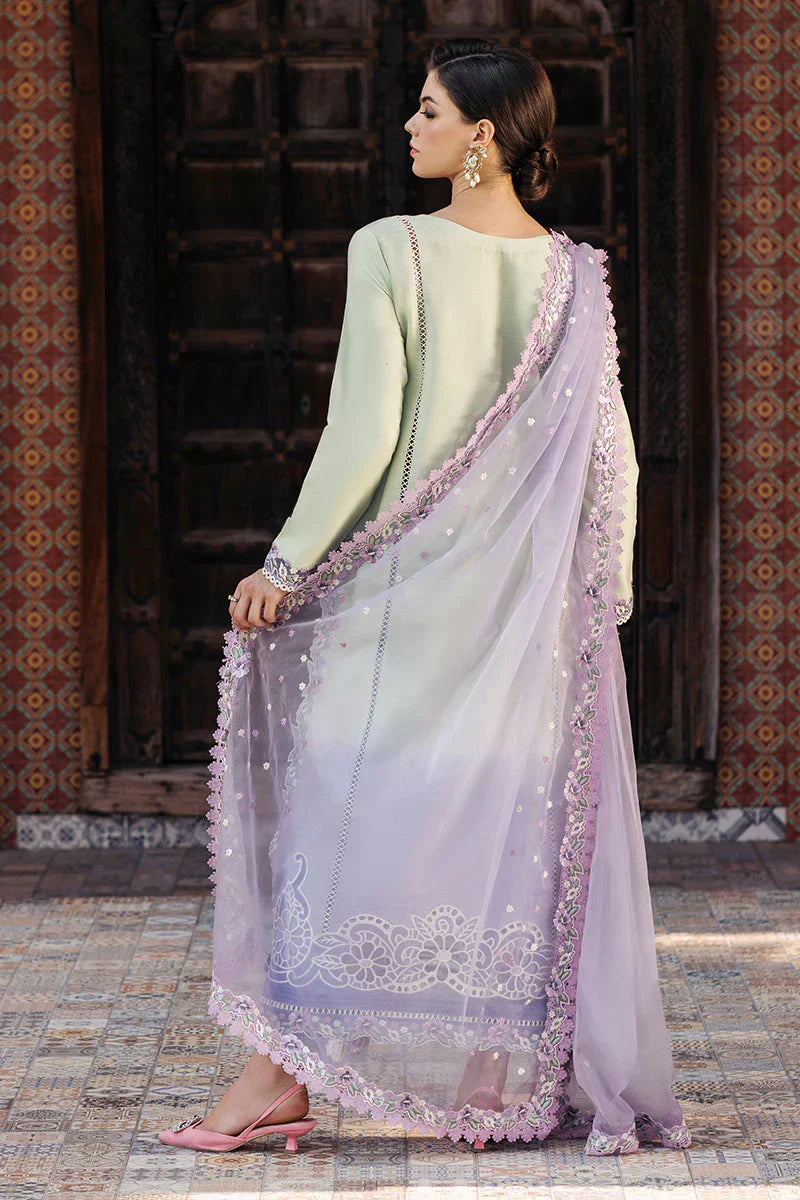 Mushq | Tehreem Luxury Pret 24 | STARRY SERENADE - House Of Anaya