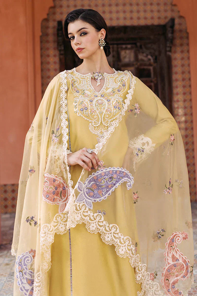 Mushq | Tehreem Luxury Pret 24 | GOLDEN GLIMMER - House Of Anaya