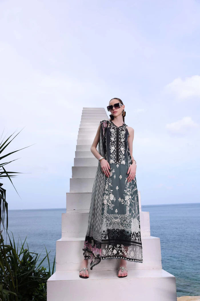 Noor by Saadia Asad | Luxe Printkari 24 | D2-B