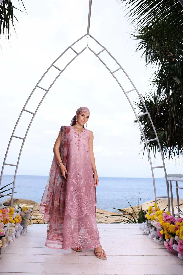 Noor by Saadia Asad | Luxe Printkari 24 | D1-B - House Of Anaya