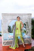 Noor by Saadia Asad | Luxe Printkari 24 | D8-B - House Of Anaya