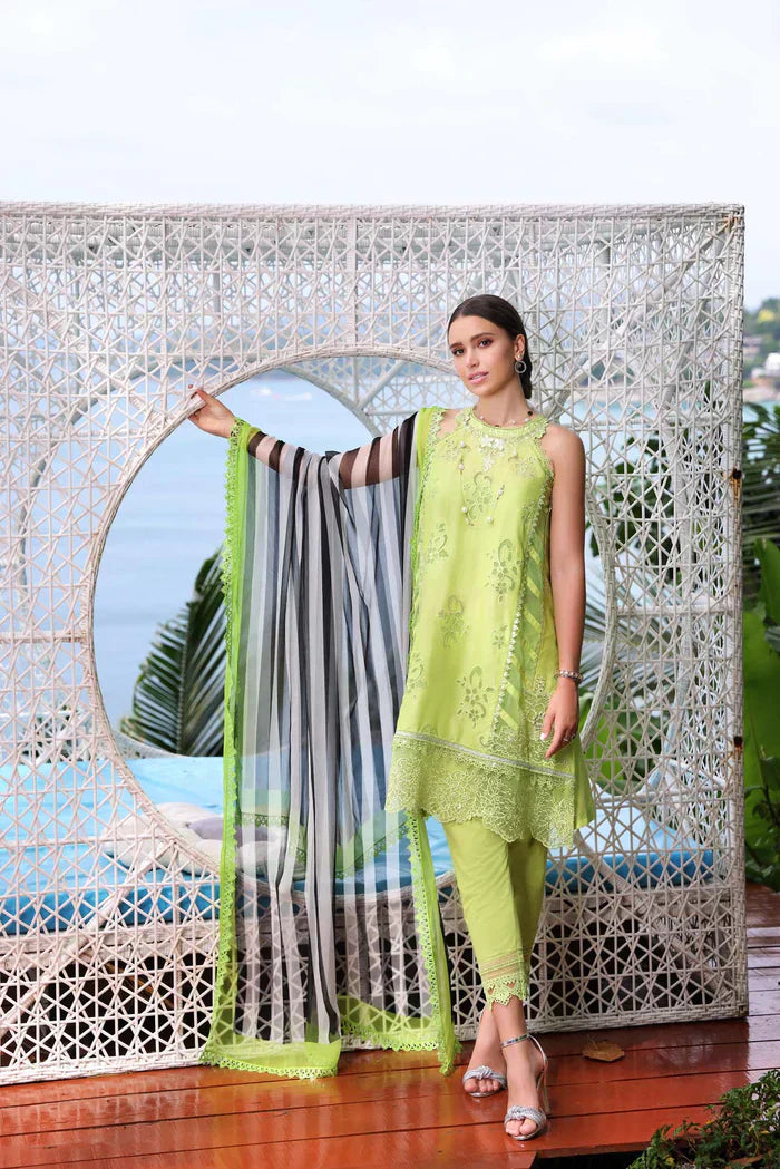 Noor by Saadia Asad | Luxe Printkari 24 | D8-B - House Of Anaya