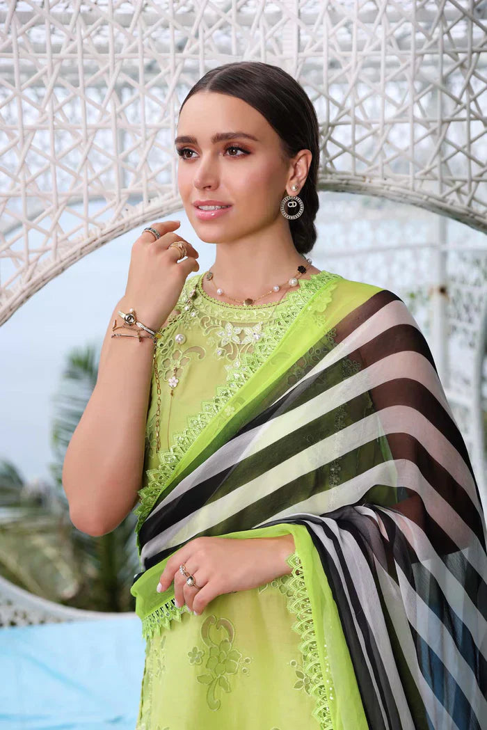 Noor by Saadia Asad | Luxe Printkari 24 | D8-B - House Of Anaya