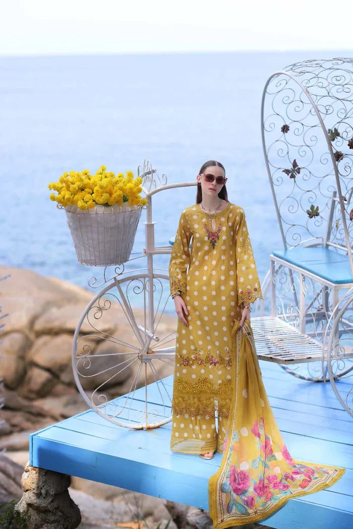 Noor by Saadia Asad | Luxe Printkari 24 | D6-B - House Of Anaya