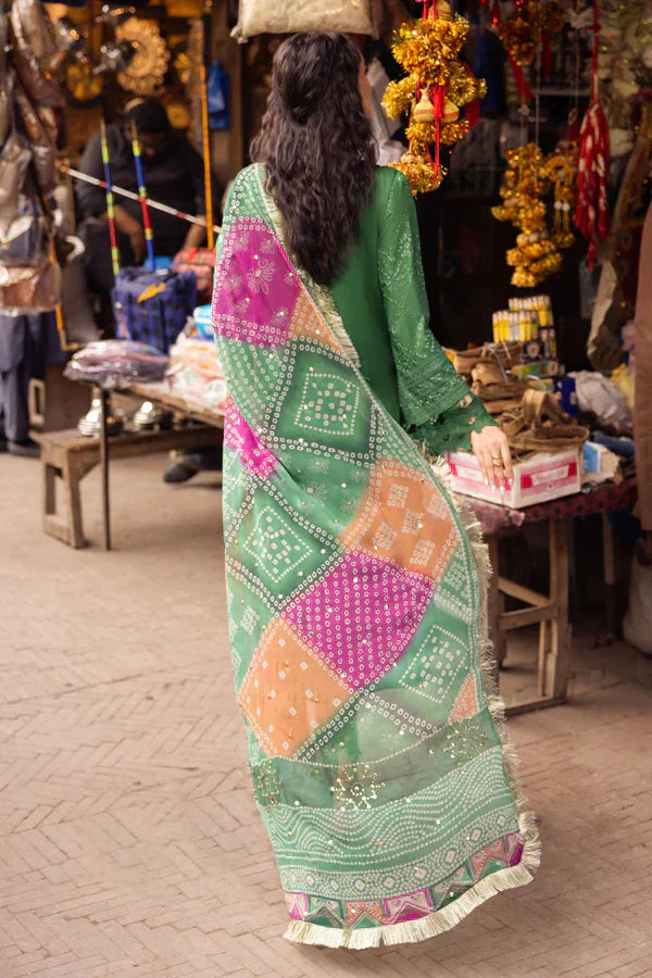 Nureh | Bazaar Lawn Chikankari 24 | NS-126 - House Of Anaya