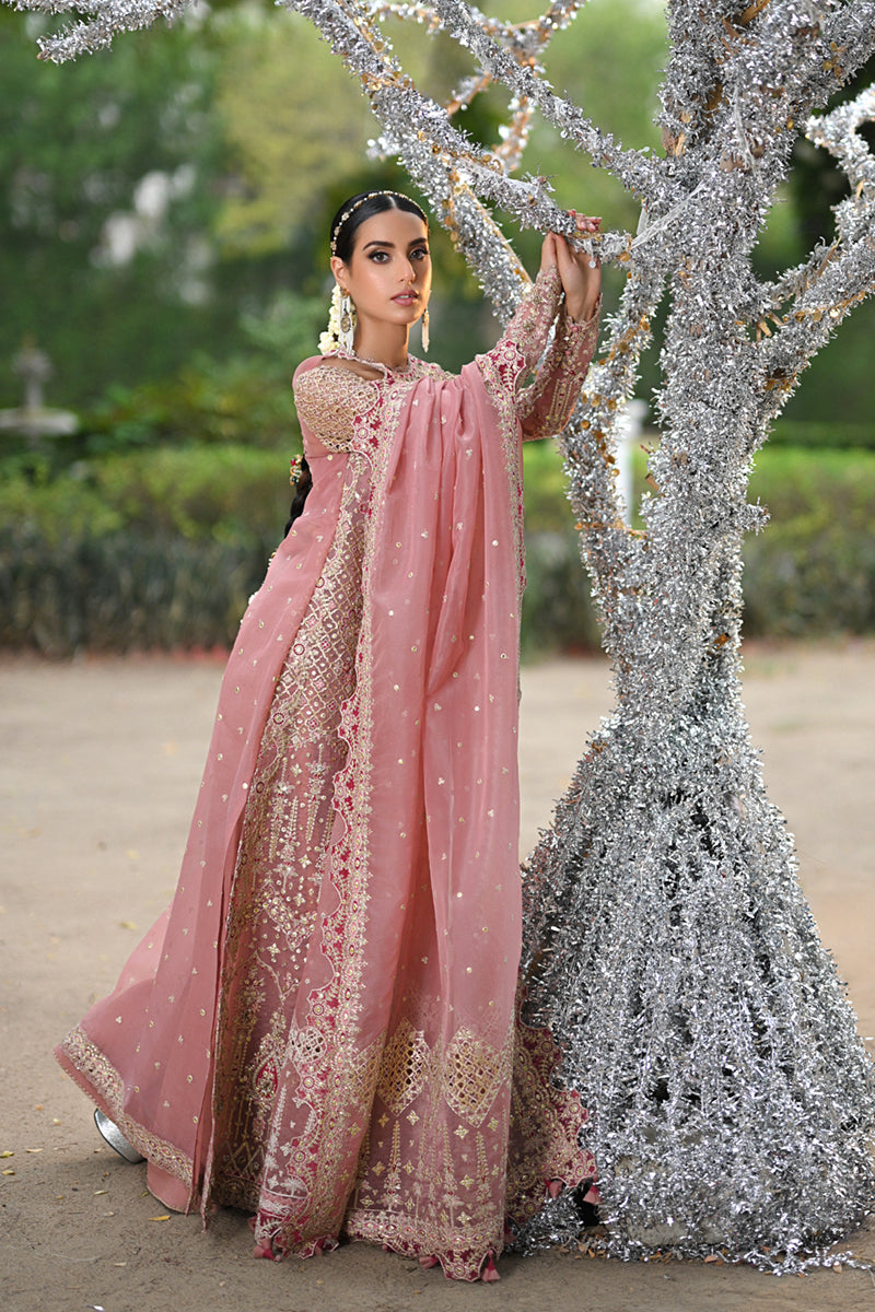 Qalamkar | Singhar Wedding Collection | RF-02 SALEHA - House Of Anaya