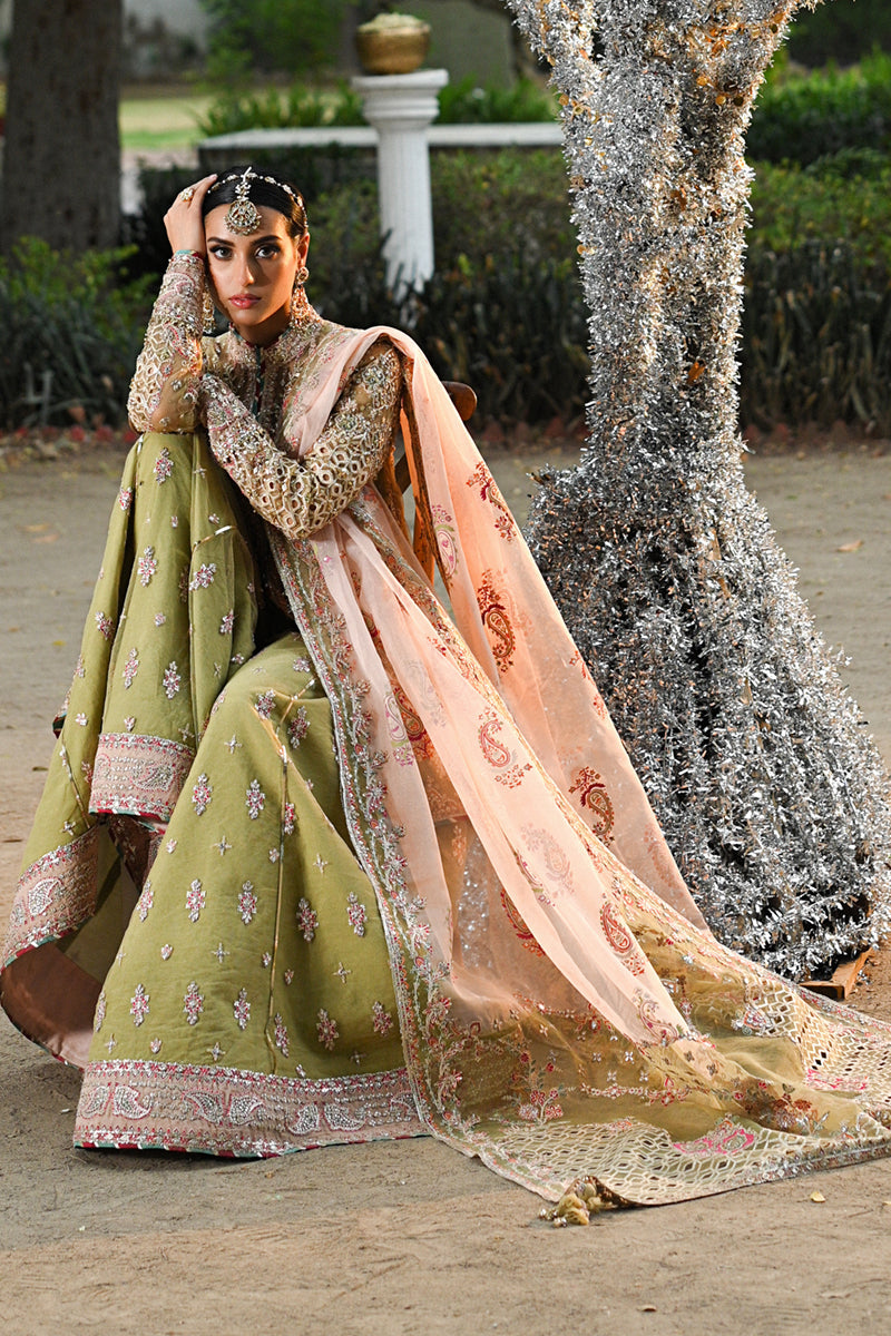 Qalamkar | Singhar Wedding Collection | RF-07 HALENA - House Of Anaya