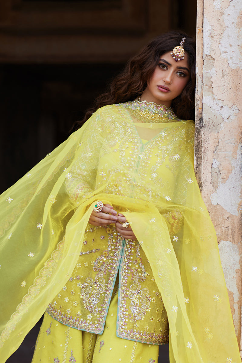 Qalamkar | Shadmani Luxury Formals |  Dania SH-05 - House Of Anaya