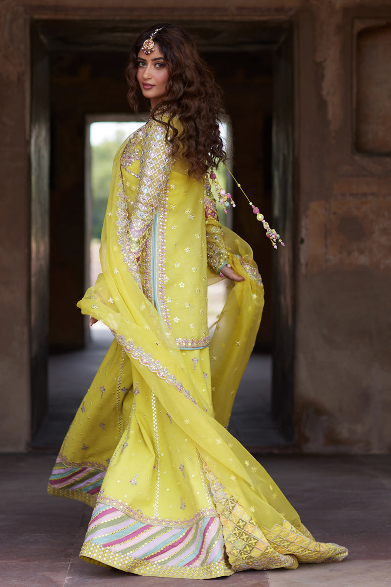 Qalamkar | Shadmani Luxury Formals |  Dania SH-05 - House Of Anaya