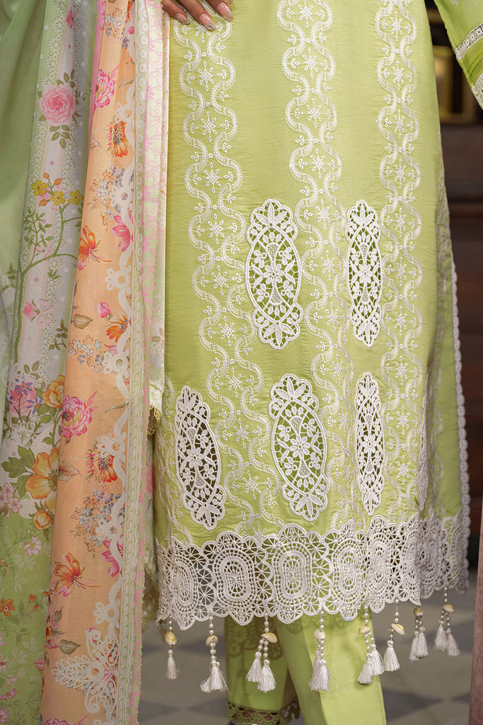 Rajbari | Chikankari Edition 24 | RJB-11 - House of Zarish