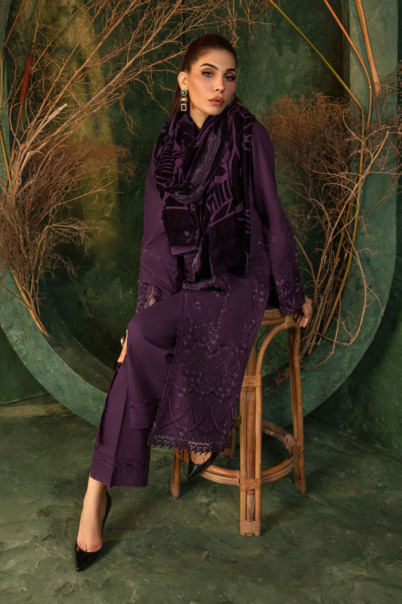 Rangrasiya | Premium Winter Edit 24 |  Cortado