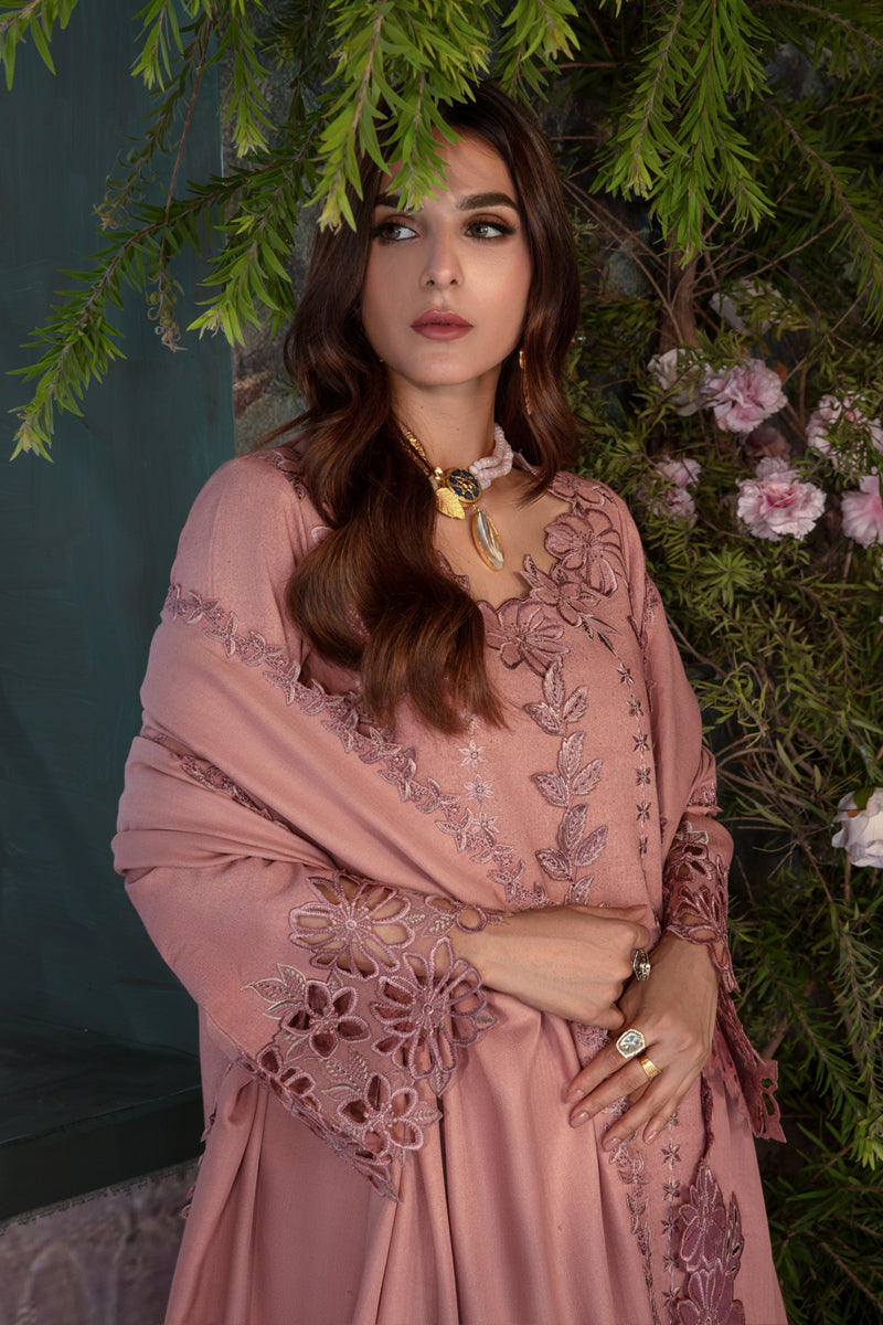 Rangrasiya | Premium Winter Edit 24 |  Chai