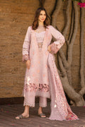 Rangrasiya | Carnation Summer 24 | Zinnia