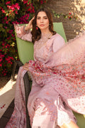 Rangrasiya | Carnation Summer 24 | Zinnia