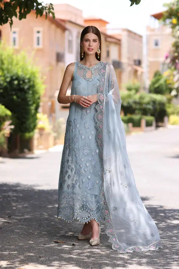 Noor by Saadia Asad | Chiffon Formals 23 | D1-Laira - House Of Anaya