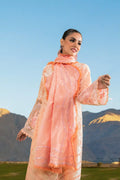 Sable Vogue | Winter 23 | SWC-01-23 - House Of Anaya
