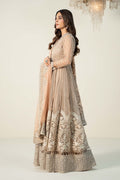 Maria B | Formal Wears | Organza Suit | SF-W24-70