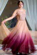 Motifz | Couture Camila | 0060-STAR DUST EMBROIDERED SILK NET STITCHED