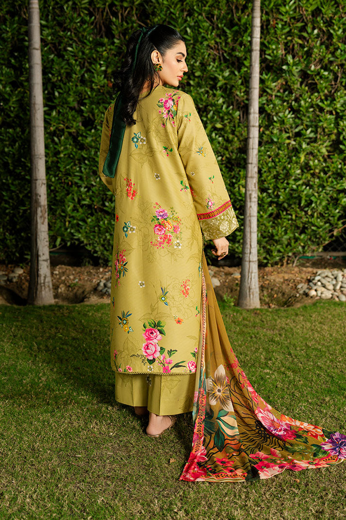 Imrozia Premium | Dahlia Lawn | SL-120 Lime Sorbet