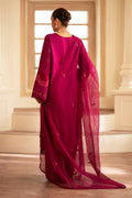 Saad Shaikh | Lumiere Winter |  D-04 Arcilla - House Of Anaya
