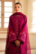 Saad Shaikh | Lumiere Winter |  D-04 Arcilla - House Of Anaya