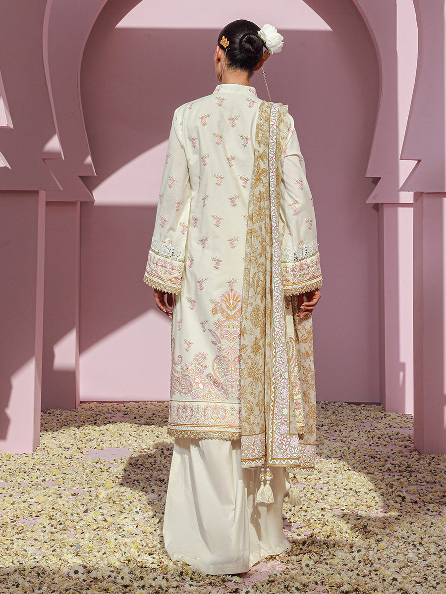 Salitex | Eid Edition | D25 - House of Zarish