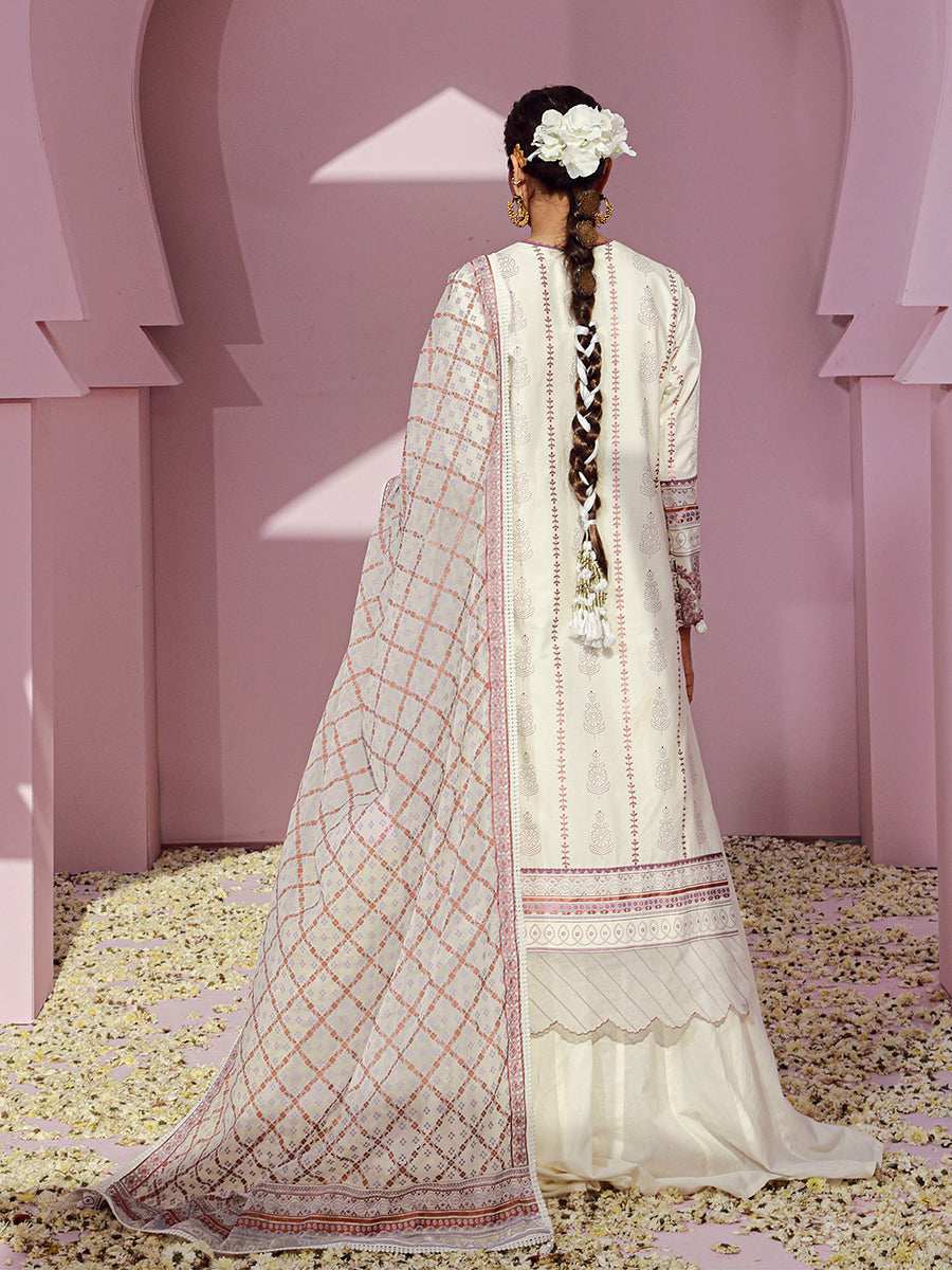 Salitex | Eid Edition | D27 - House of Zarish