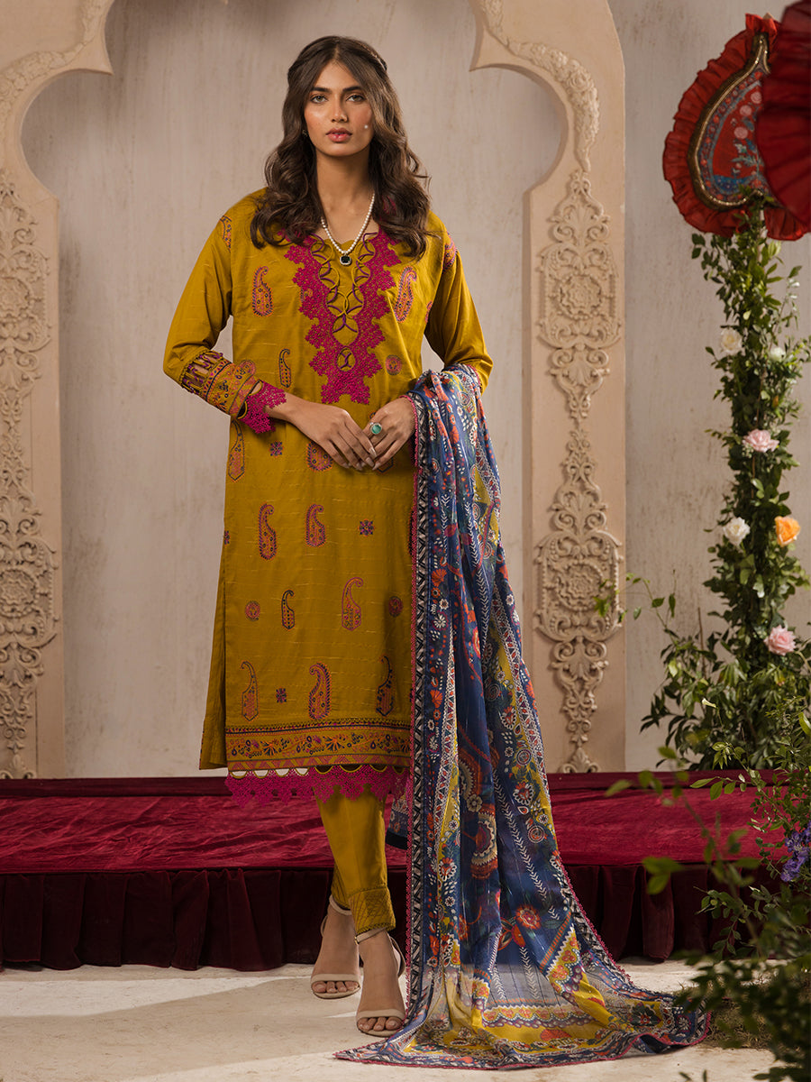 Salitex | Eid Edition | D10 - House of Zarish