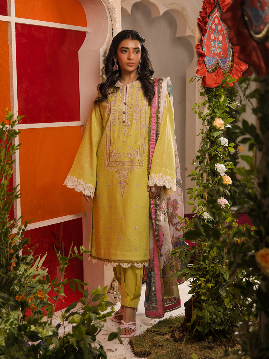 Salitex | Eid Edition | D13 - House of Zarish
