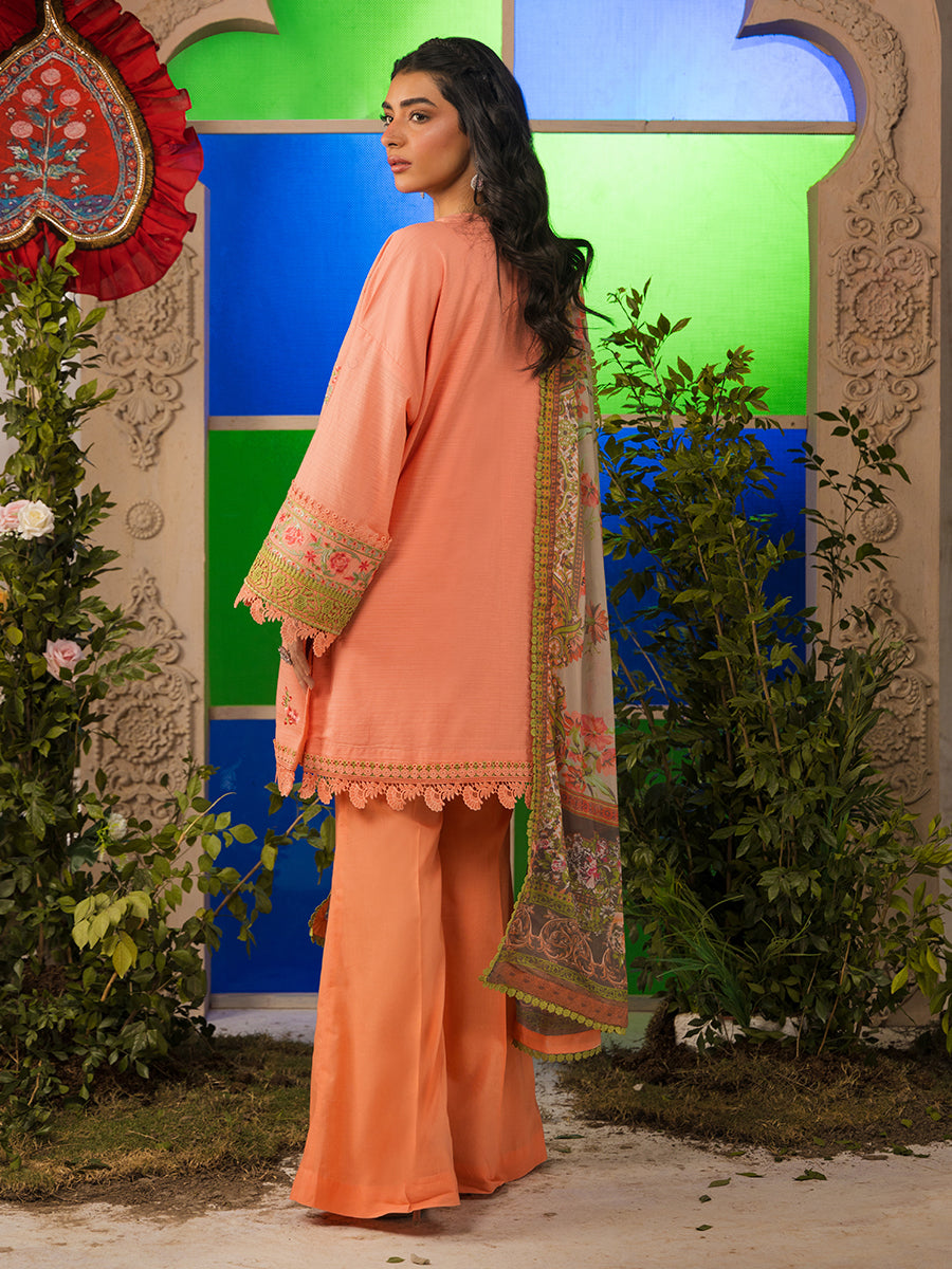 Salitex | Eid Edition | D14 - House of Zarish