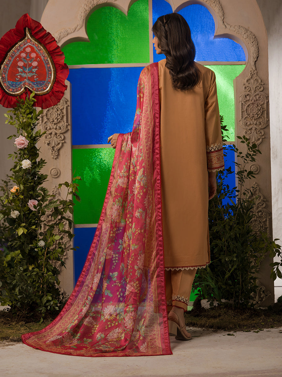 Salitex | Eid Edition | D19 - House of Zarish
