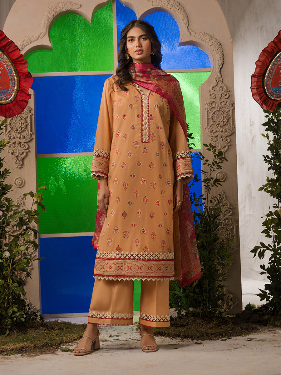 Salitex | Eid Edition | D19 - House of Zarish
