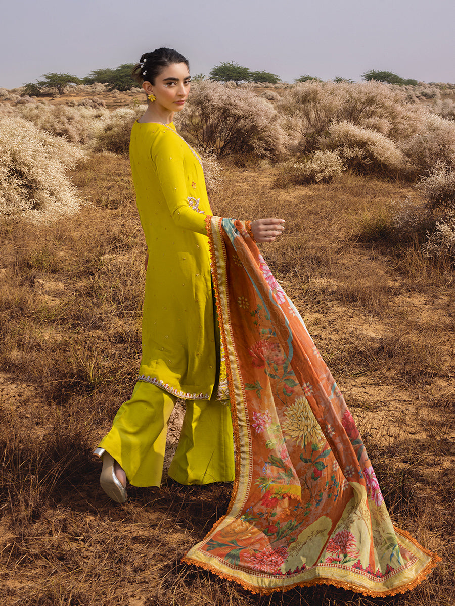 Salitex | Luxury Wear 24 | 26 - House of Zarish