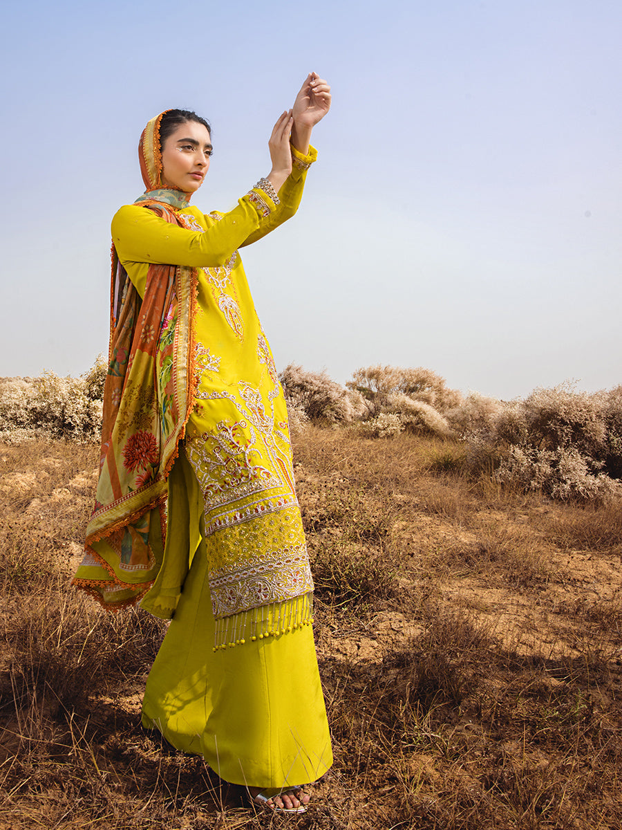Salitex | Luxury Wear 24 | 26 - House of Zarish