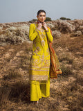 Salitex | Luxury Wear 24 | 26 - House of Zarish