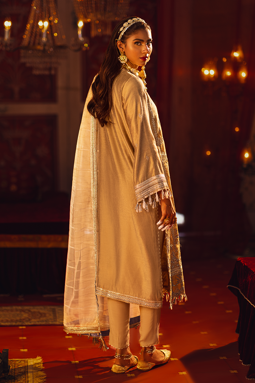 Salitex | Luxury Wear 24 | 02 - House of Zarish