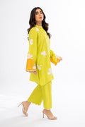 Sania Maskatiya | Eid Collection | Misbah (B) - House Of Anaya