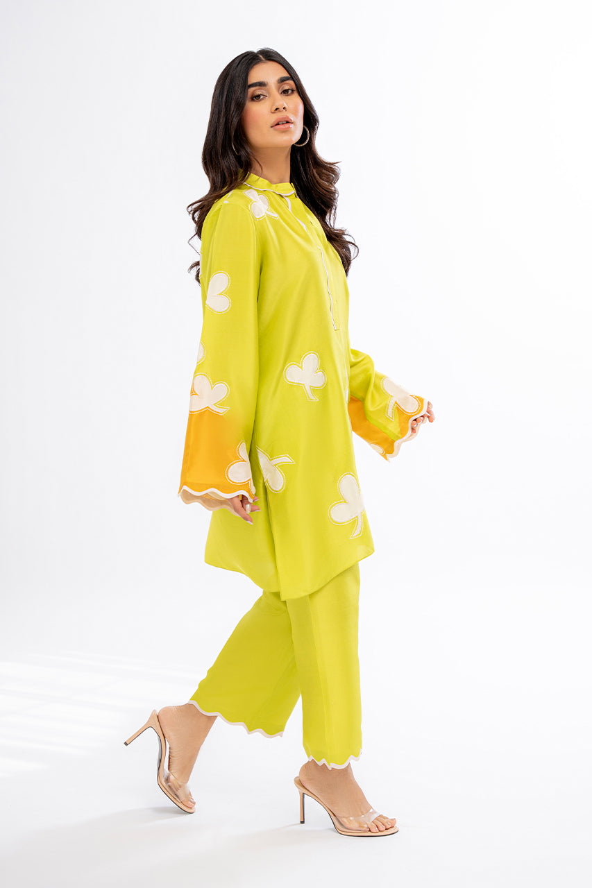 Sania Maskatiya | Eid Collection | Misbah (B) - House Of Anaya