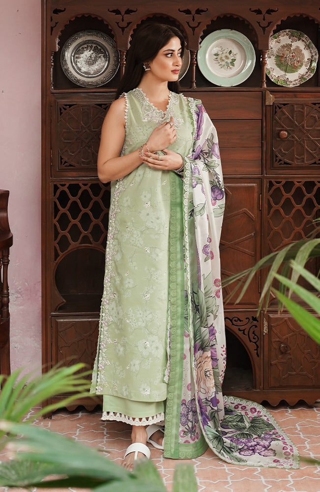 Seran | Afsanah Lawn 24 | Maya - House Of Anaya