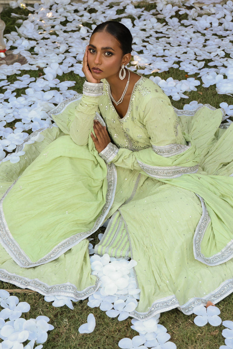 The Pink Tree Company | Wedding Wear | LEAFY BLUSH - House of Zarish