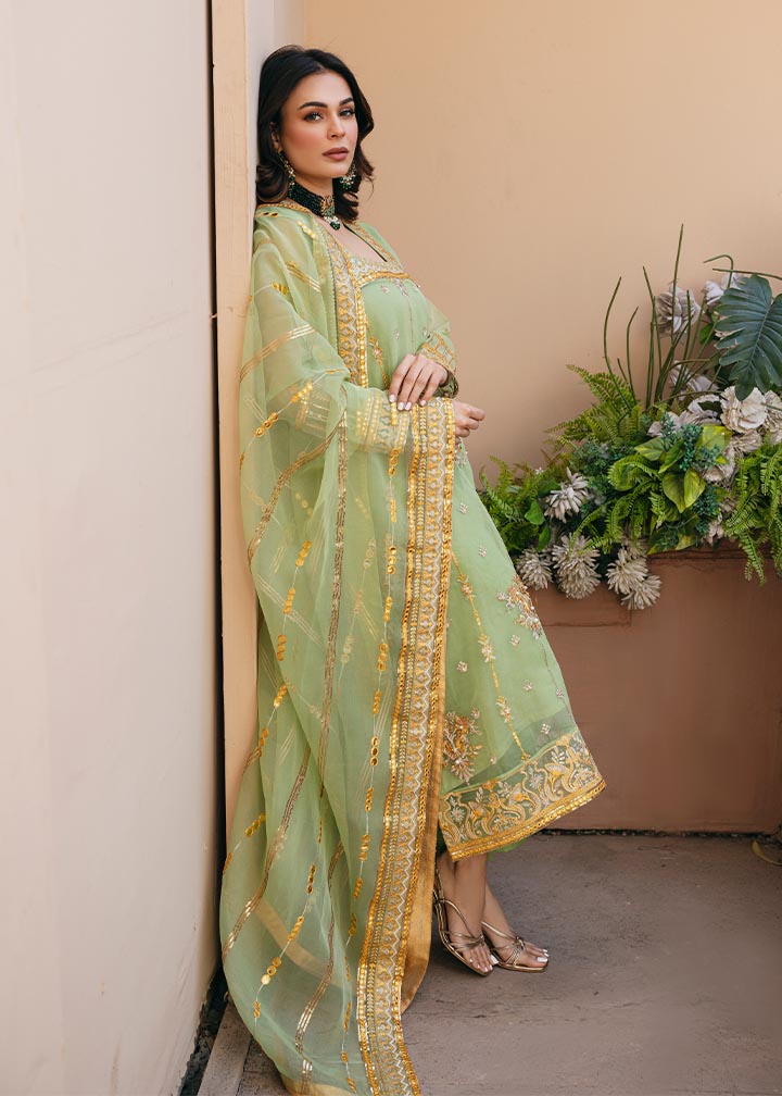 Daud Abbas | Formals Collection | Sunahri - House Of Anaya
